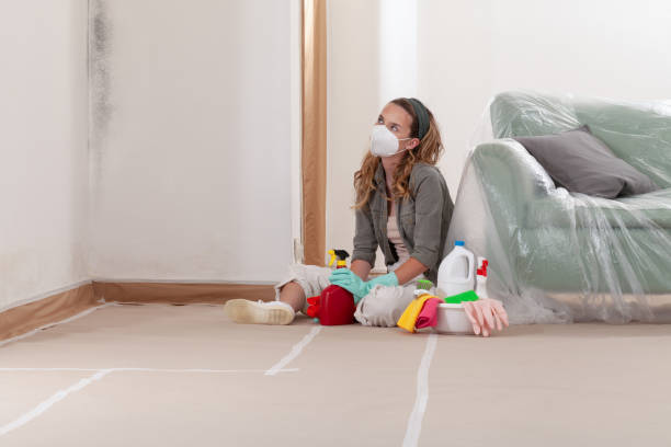 Reliable Bathroom Mold Removal contractor in Casselberry, FL by WQB Mold Removal